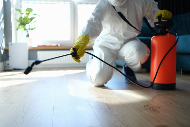 Reliable Biohazard Cleanup contractor in Ferndale, MI by Trauma Clean Pros